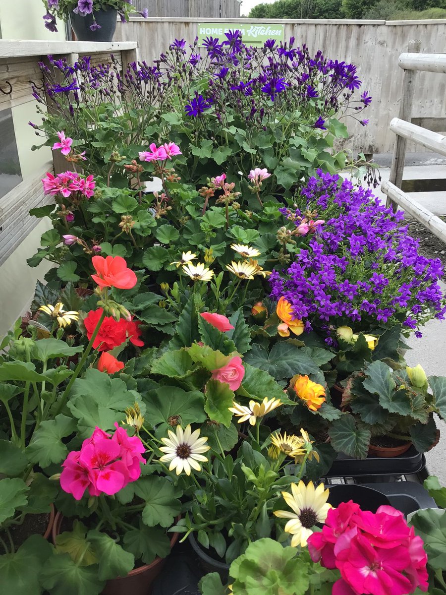 I think we are all thinking for this time of year again!! Roll on Spring.