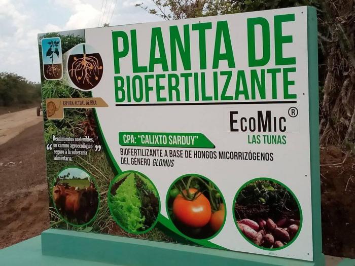 MinagCuba's tweet image. Procesa biofertilizantes nueva Planta de Ecomic de Las Tunas acn.cu/economia/10401… #AgriculturaCubana #Cuba #CELAC #CELACEsUnidad @FAOCuba @YdaelB @MauryHechavarr1 @RodriguezExpRG @JorgeLuisTapiaF