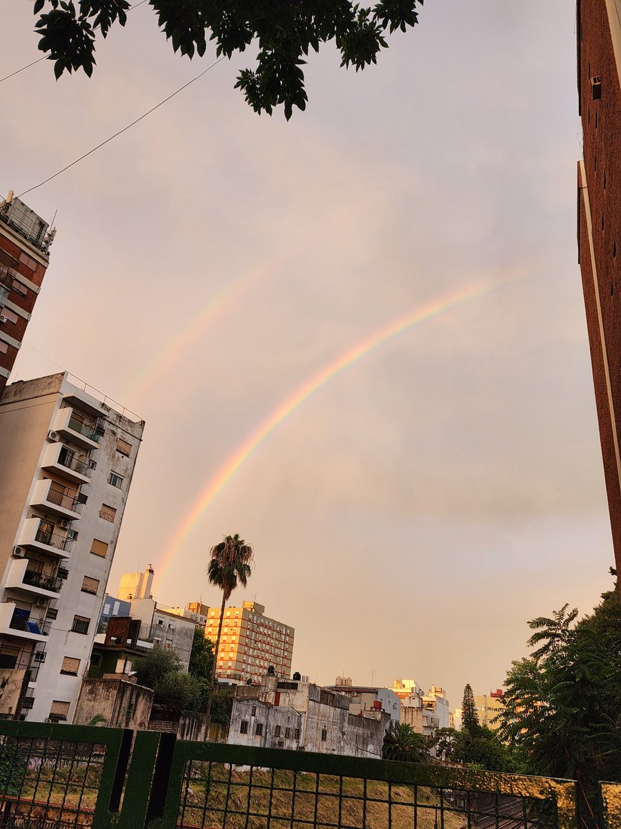 AngelmColque's tweet photo. Siempre al final del día...
Todo mejora 🌈❤️
#Rainbow #DobleArcoiris #BuenosAires https://t.co/RGu9Ilonzl