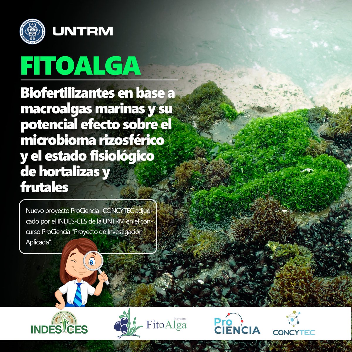 cesindes1's tweet photo. ✅FITOALGA: nuevo proyecto @ProcienciaPeru  @ConcytecPeru fue adjudicado por el @cesindes1  de la @untrm 🤓 https://t.co/wC1FnsAY13