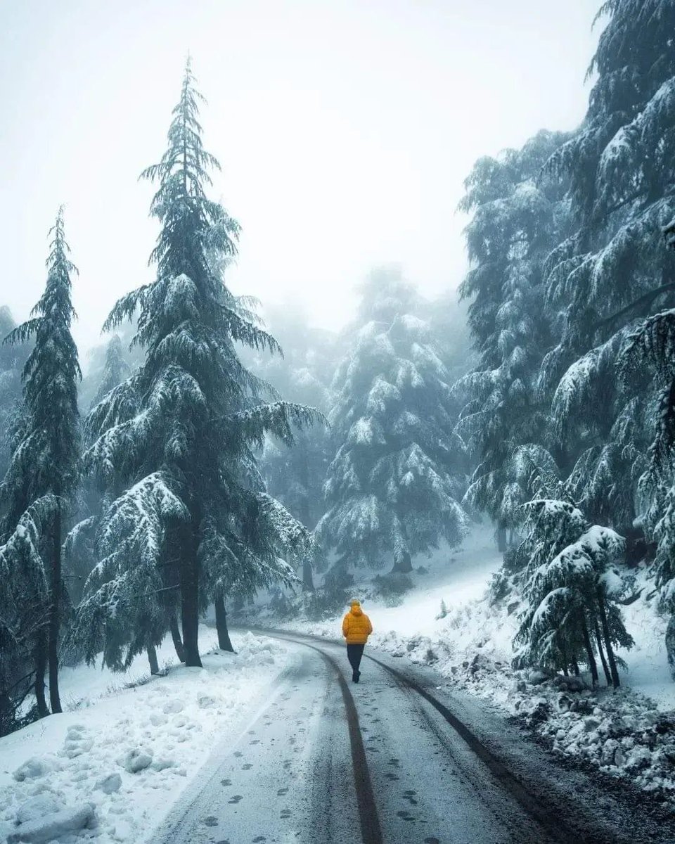 الجزيرة الوثائقية tweet media