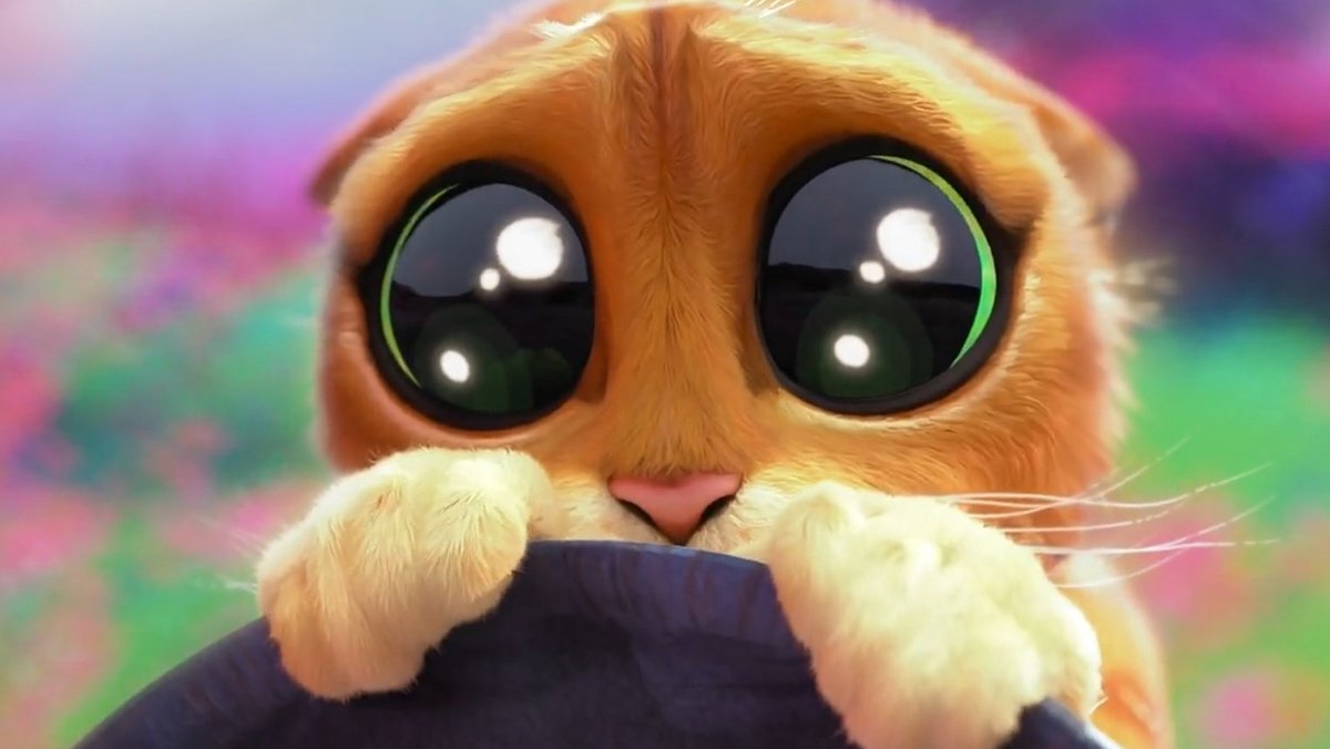 shotsinworld's tweet photo. PUSS IN BOOTS: THE LAST WISH https://t.co/FJAc1tJ8Jy