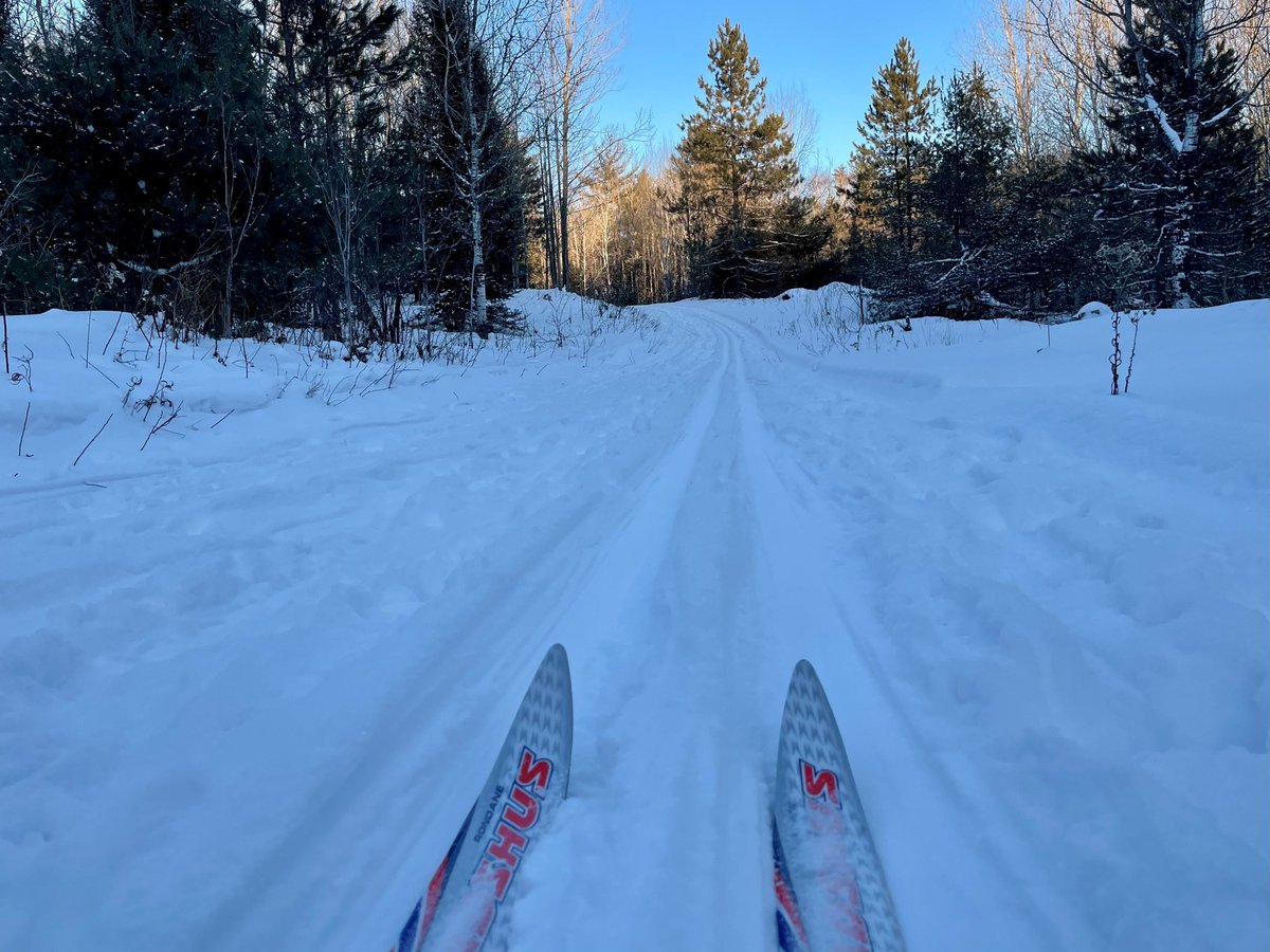 EnvironmentMI's tweet image. Michigan’s Ottawa National Forest encompasses nearly 1 million acres within the Upper Peninsula.Funding from #LWCF has been used to protect land along the Sturgeon River to ensure the wild &amp;amp; scenic beauty of the river is not lost.