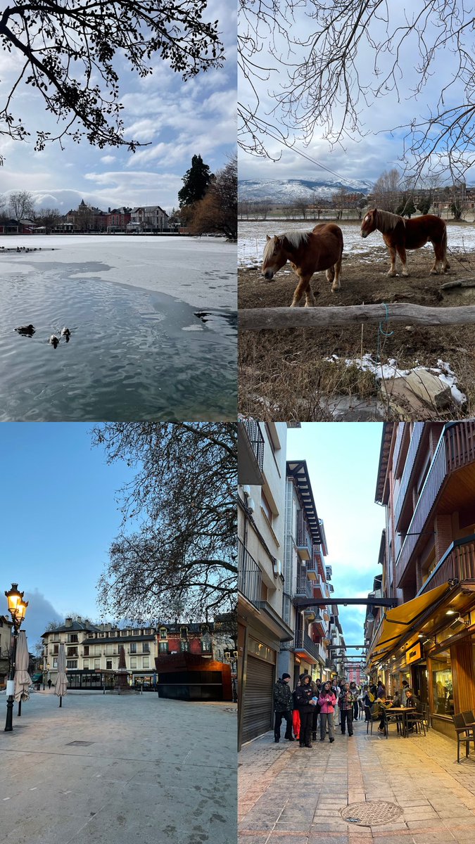 Diego P. Sánchez tweet media