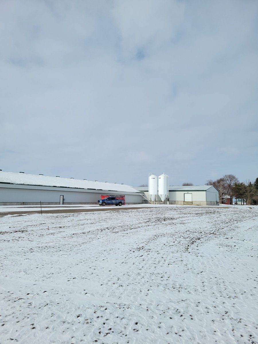 VanderlaanAl's tweet photo. A 120'x 360' layer barn  completed. Another quality job. Big thanks to the crew and suppliers. Home Hardware Grandbend,  Easy Building Products, VanMoorsell insulation https://t.co/TN6HpI8phM