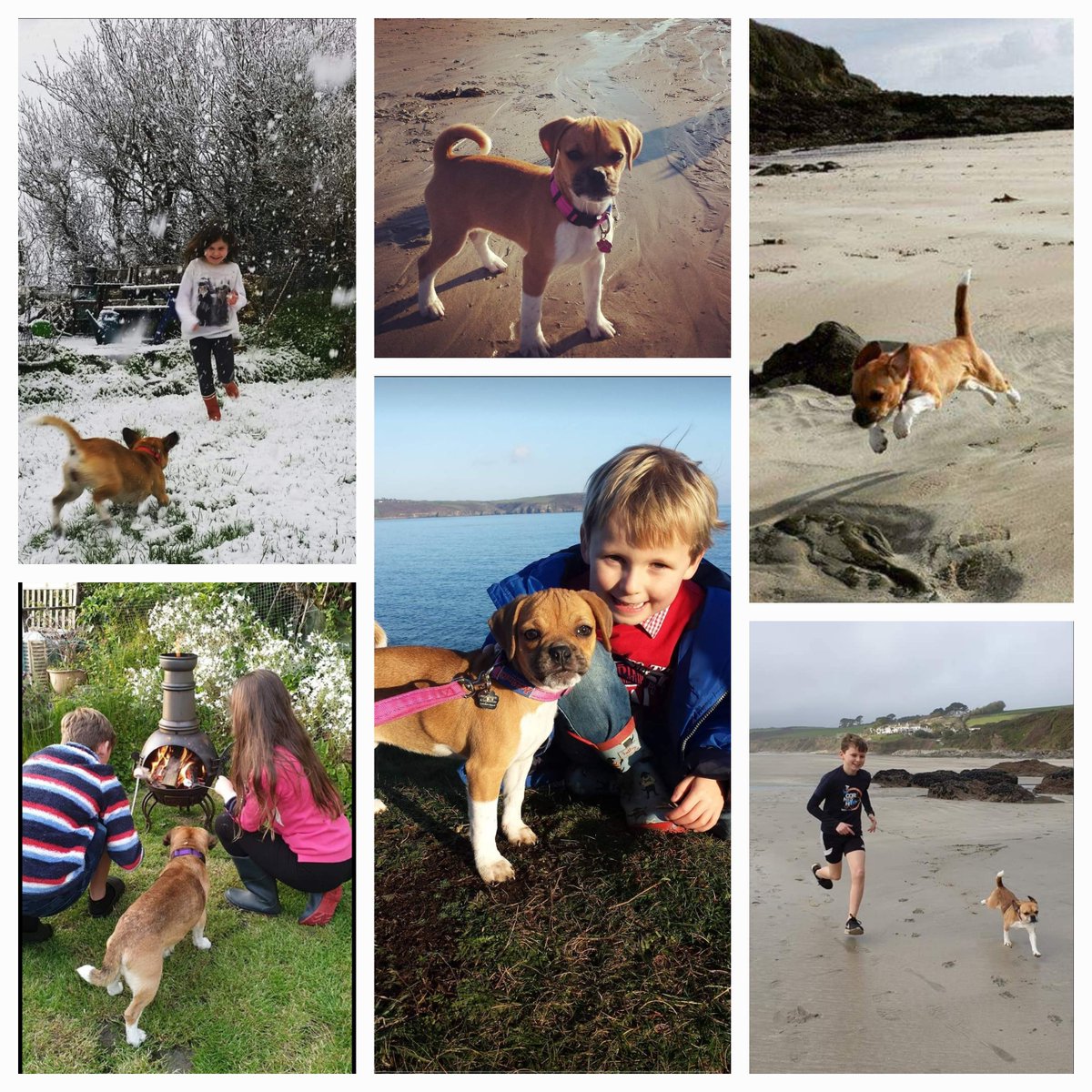 Grippy Leads tweet media