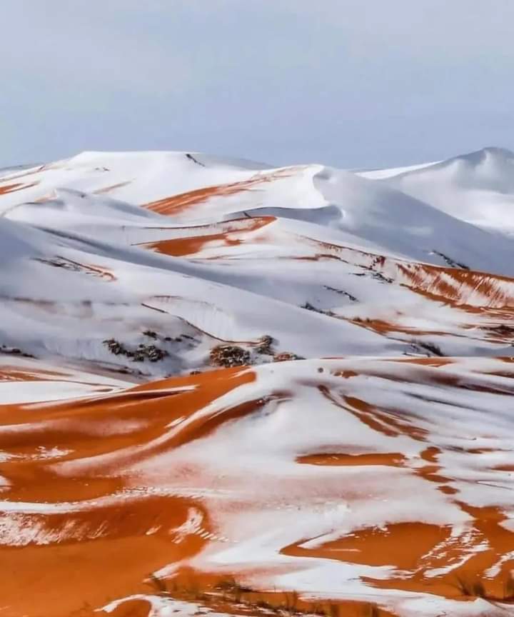 SamiretLyes's tweet photo. Réchauffement climatique au tiniri ! https://t.co/fryLGNrfk1