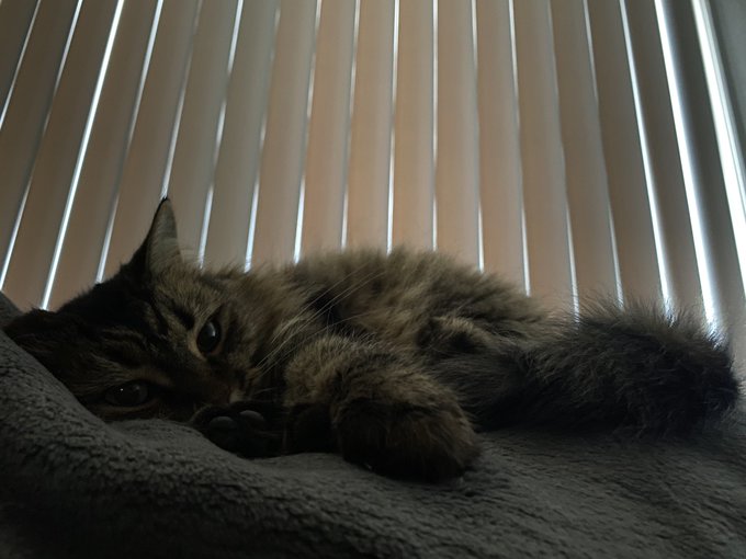 TW Pornstars - VENEMOURA 𖤐. The most liked pictures and videos from Twitter for all time