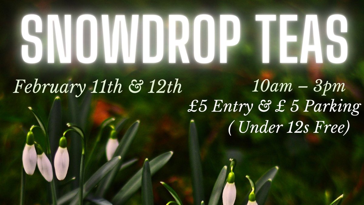 It's back! Celebrate #Snowdrop season with us at @Braziers Park for one of our annual Open Days

form.jotform.com/23008324262534…