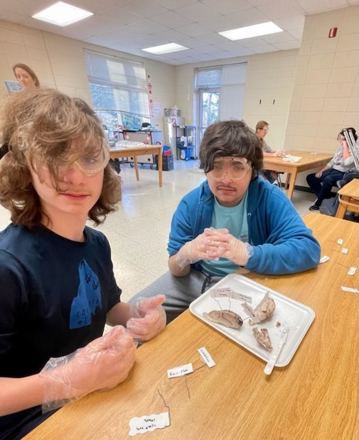 lmscardinals's tweet photo. Mrs. Morris' 8th-grade medical detectives have been busy dissecting sheep brains! #LiveLearnLandrum #LMSgatewaytotechnology #RespectExcellenceDetermination https://t.co/WR0NkK7NbI