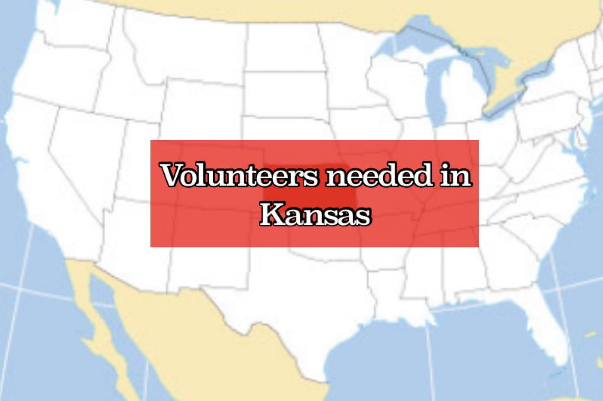 Greg Schneider tweet media