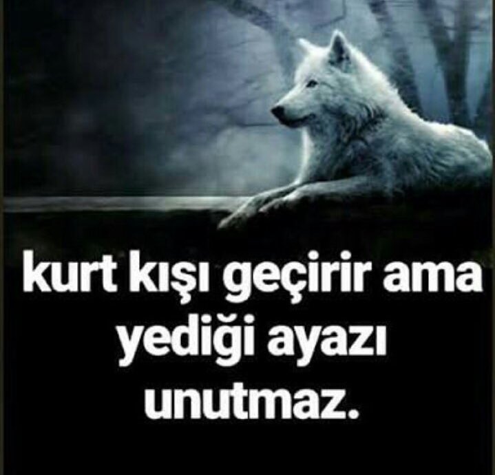 'Kurt kışı geçirir ama yediği ayazı unutmaz' #SinanAtesHepiniziYakacak  Kurt kocayınca kuzunun maskarası olurmuş.❗️ #SinanATESicinAdalet #KatilKim ⁉️