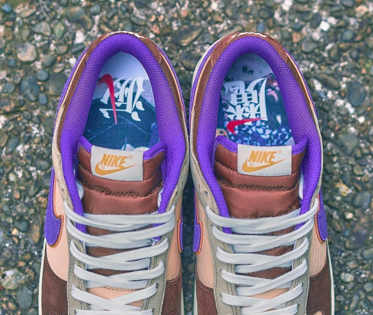 Dunk low viotech raffle top