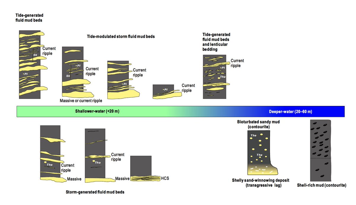 What do you know about coastal mud belts?  How would you recognize them in the rock record?  Find out in: 'Changjiang coastal mud-belt deposits in Taiwan Strait: Controls on its distribution and facies'

Available at: onlinelibrary.wiley.com/doi/abs/10.111…