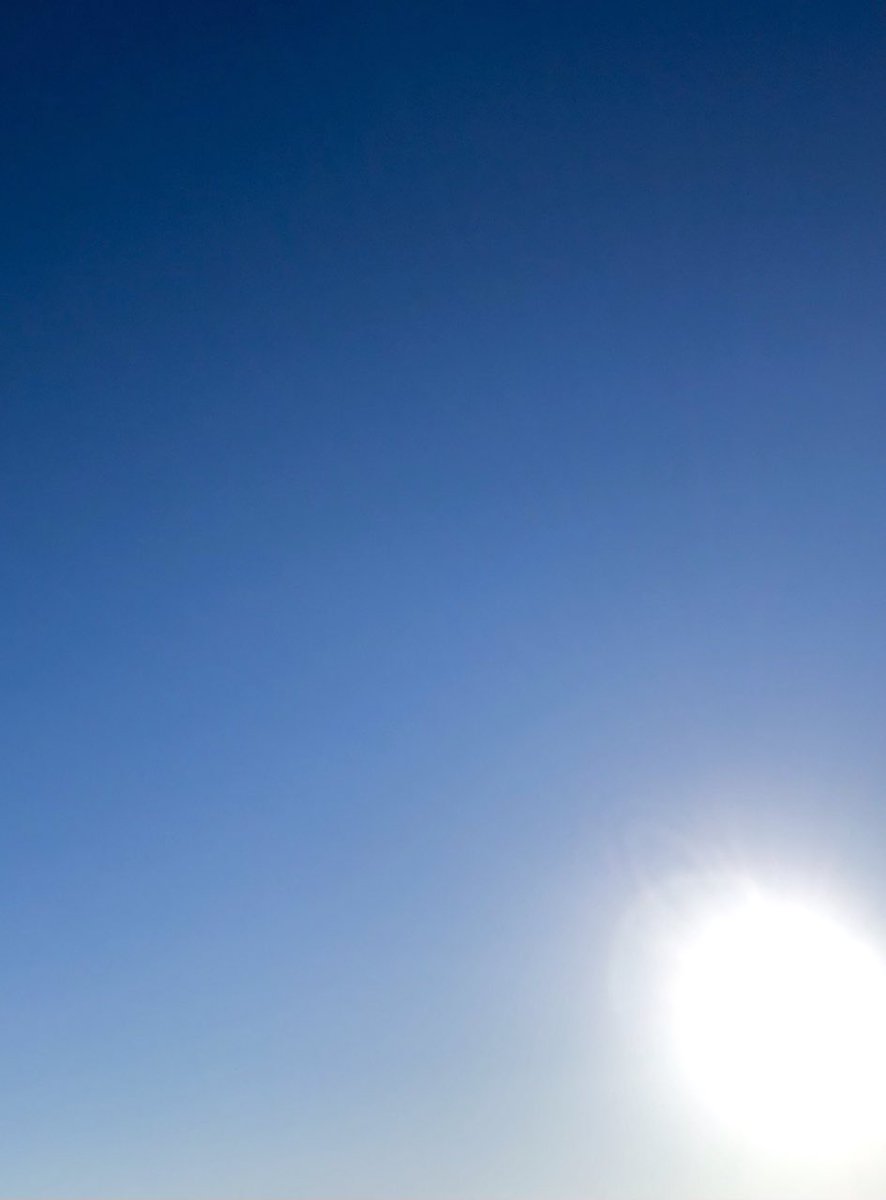#空を見上げる人🙄 
おはようございます。
このお天気☀️☀️☀️
ニュースや天気予報とのギャップに戸惑っています…😅

2023年1月25日(水)  8:40
