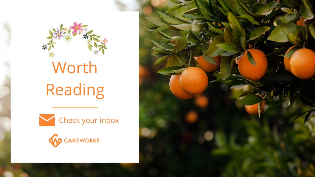 THIS WEEK’S BRIEF: NFL Wild Card Weekend Draws a Crowd, Twitter Tries To be TikTok, Sundance Film Festival Back to IRL 🏈🐦🎬 - mailchi.mp/cake-works/tim…