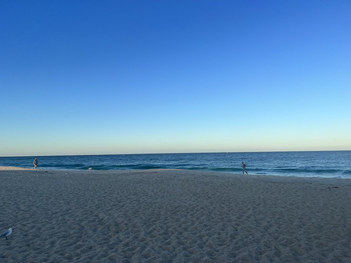 Tim Hammond tweet media