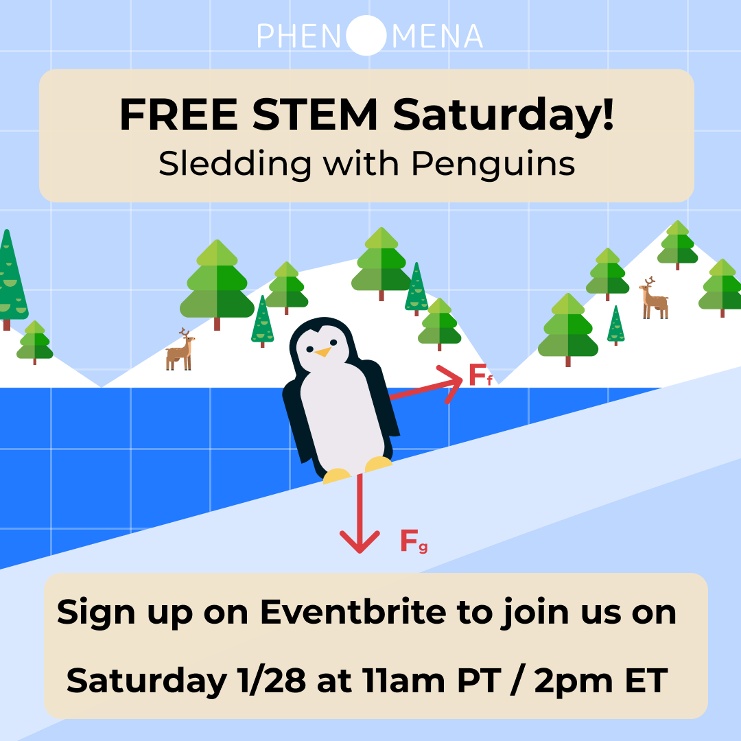 Phenomena tweet media