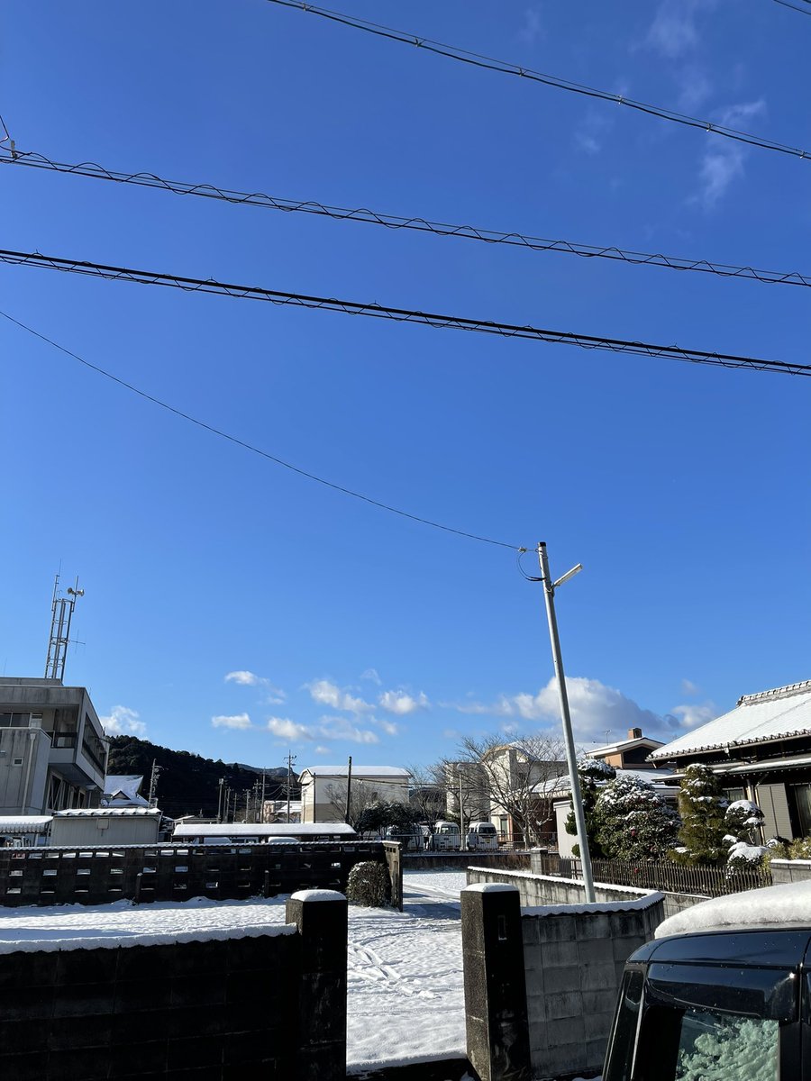 shirankeredomo's tweet photo. いい天気 https://t.co/f9qyv3yQ4B