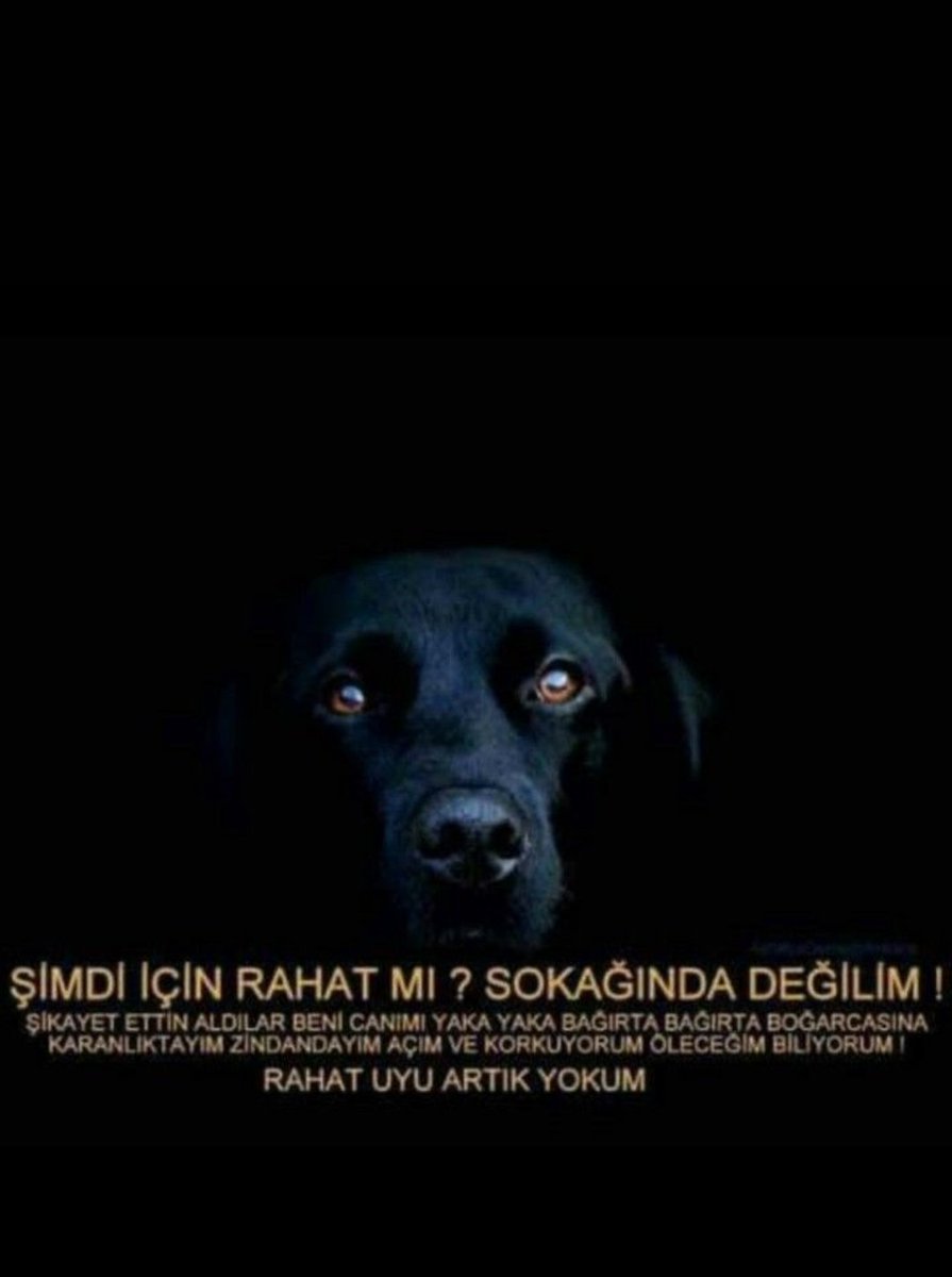 Bir afişe ağlar mı insan ? Gerçekten yaşandığını bildiği için ;onların yaşadıklarını hissettiği için , empati kurabildigi için , onları yaşatmaya çalıştığı   (mesleki kaygıyla değil )görev bildiği için, bu nefret ve adaletsizlikten yorulduğu için ağlar işte ... #AdaletleYaşat