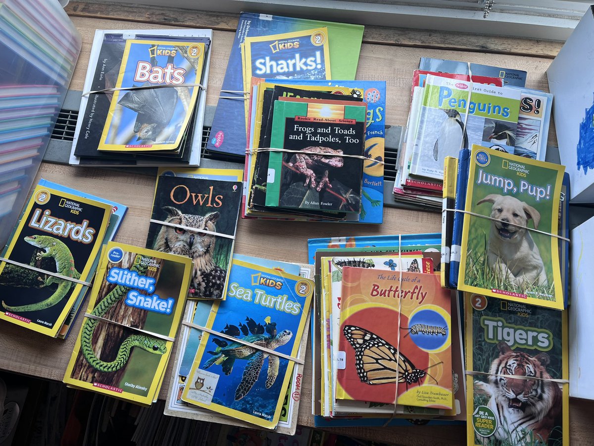 What do you get when you collaborate with an inspiring classroom teacher, and a dedicated Stellar teacher? Nonfiction text sets our 1st grade experts can’t wait to get their hands on! 💥boom💥 We are better together! #ramfam <a href="/WHGWashington/">WHGW</a> <a href="/CornwellAveES/">CornwellAveES</a>