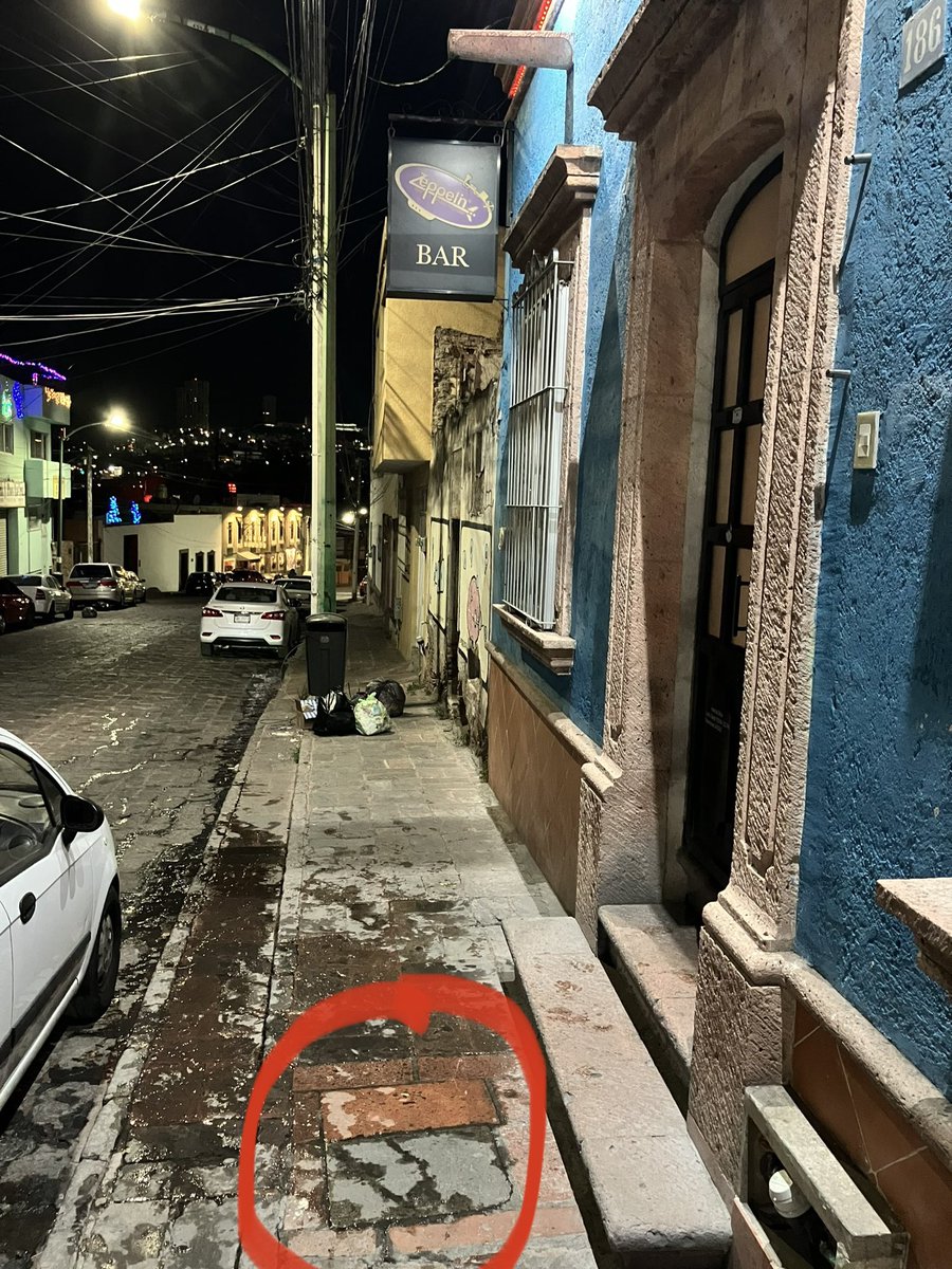 salalecturapoe tweet media