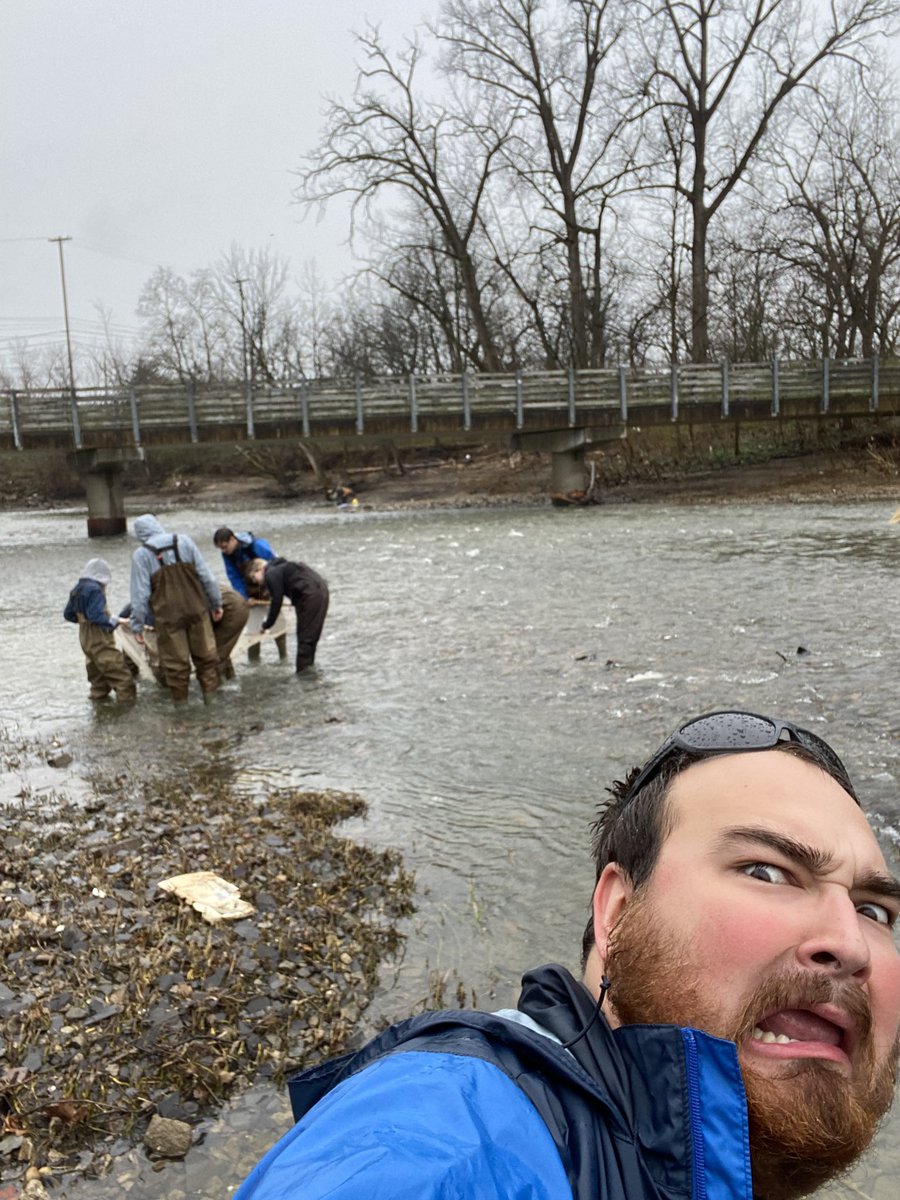 Cole Hoffman tweet media