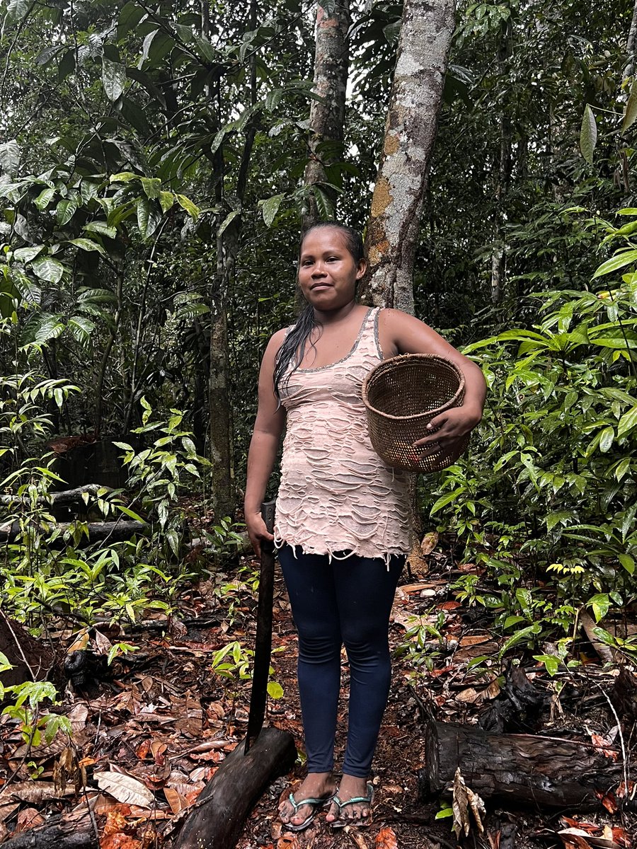 LiaBeltrami's tweet image. 🌴🇧🇷 we stand by the indigenous peoples of the Amazon rainforest. #Yanomami #repam  @repam_amazonia @religions4peace