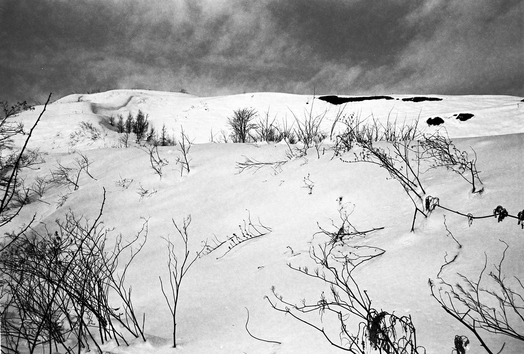 threepinner1's tweet photo. https://t.co/9B6TTdu5zQ
#三笠市 #幌内 #ズリ山
#キヤノンAV1 #Kodak #Technicalpan
#フィルムスキャン #Plustek #OpticFilm8100
ボードで滑っても楽しそう。 https://t.co/F4e8xNFXI6