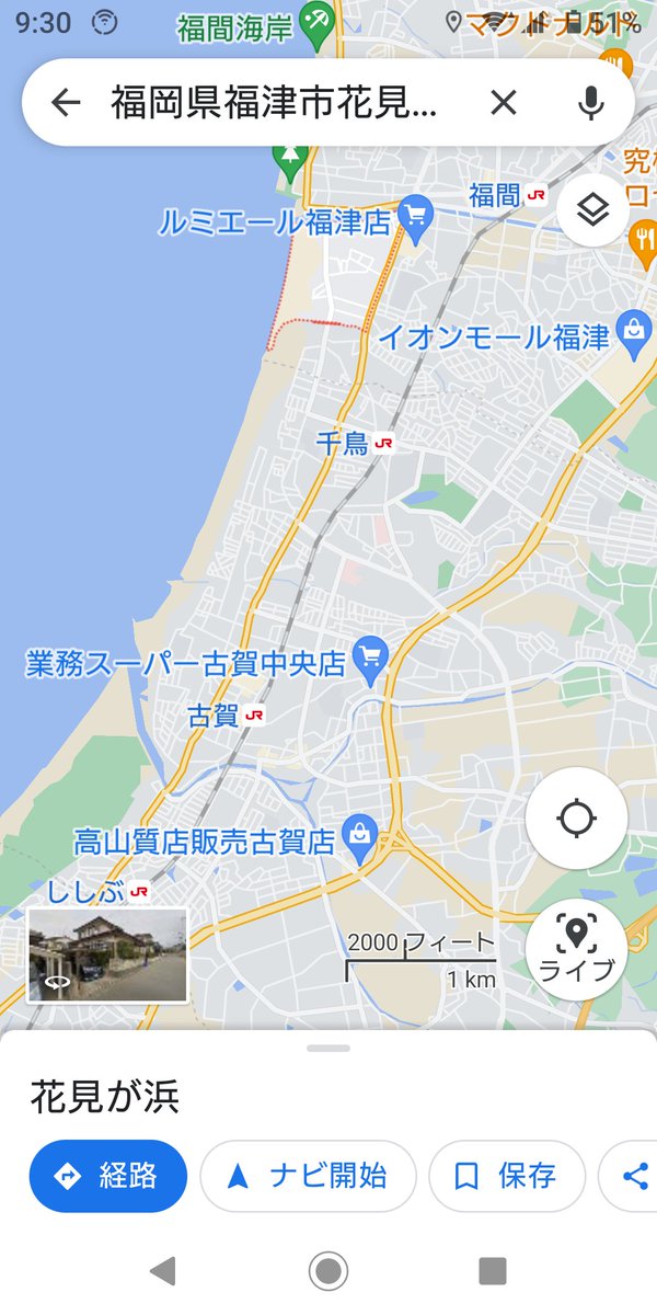 iWaFDUeWUTuqm9L's tweet photo. 迷子のワンちゃんが福岡県福津市花見が浜で保護です https://t.co/wDhuRYopg1
