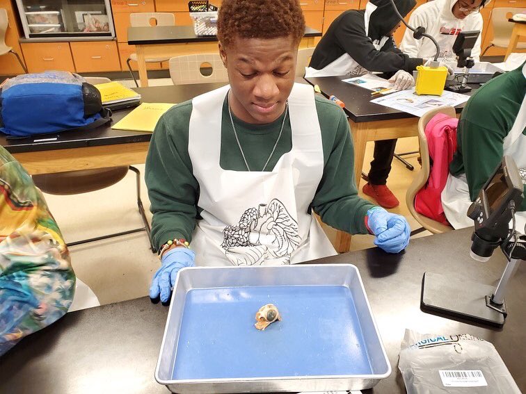 CPSHoward's tweet photo. Seniors learning how resilient sheep eyes are! #zooacademyrocks #zooacademycps #iamcps #hughesstem https://t.co/PcqWsaAvCD