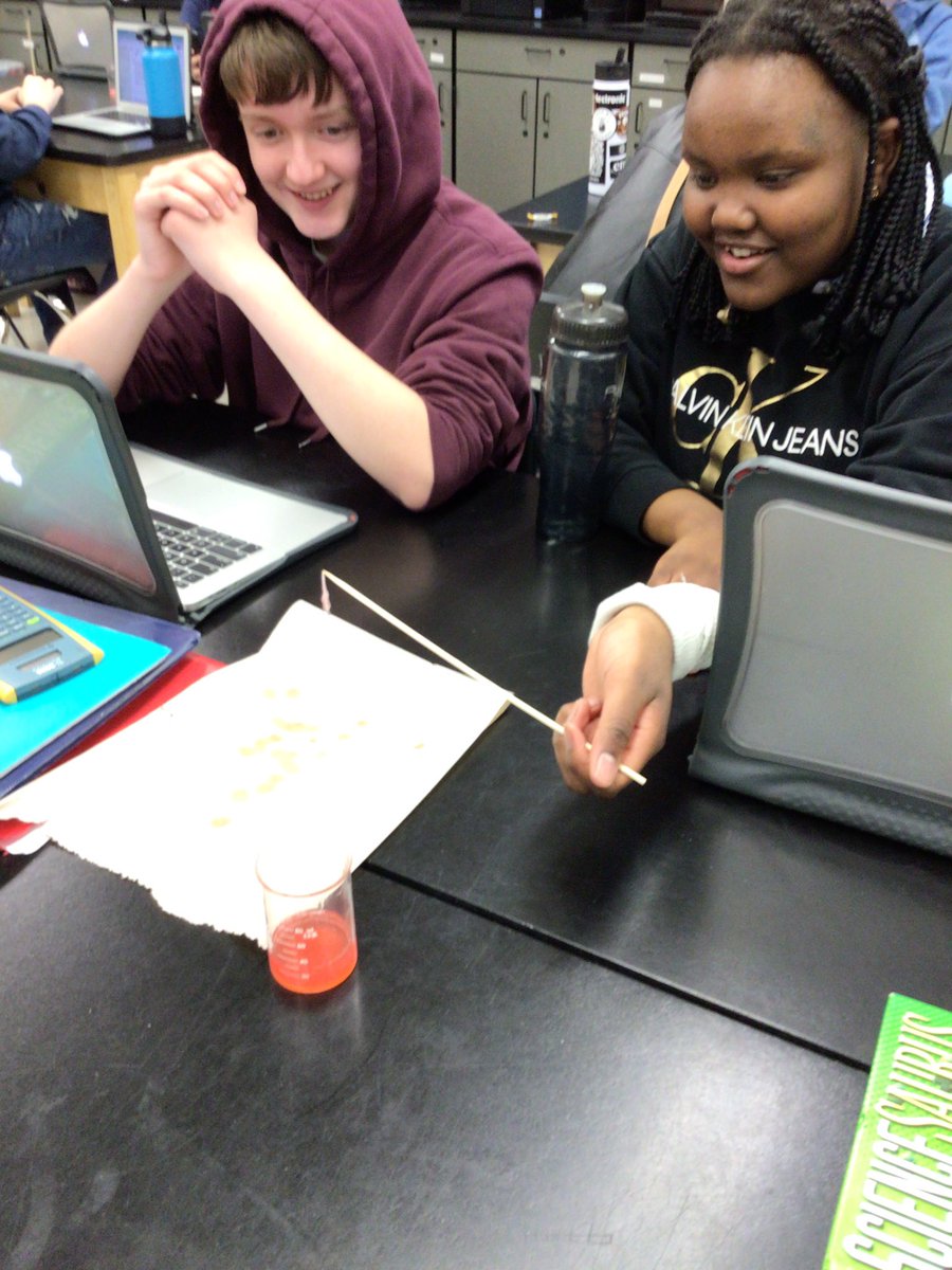 DNA extraction lab <a href="/WRidgeMS/">Westridge MS</a> <a href="/theSMSD/">SM School District</a>