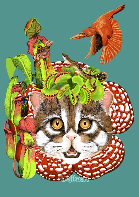 このツイート見てくれてる人はきっと猫が好きなので猫とか虫の絵を描いているのでよかったら見て行って～ 