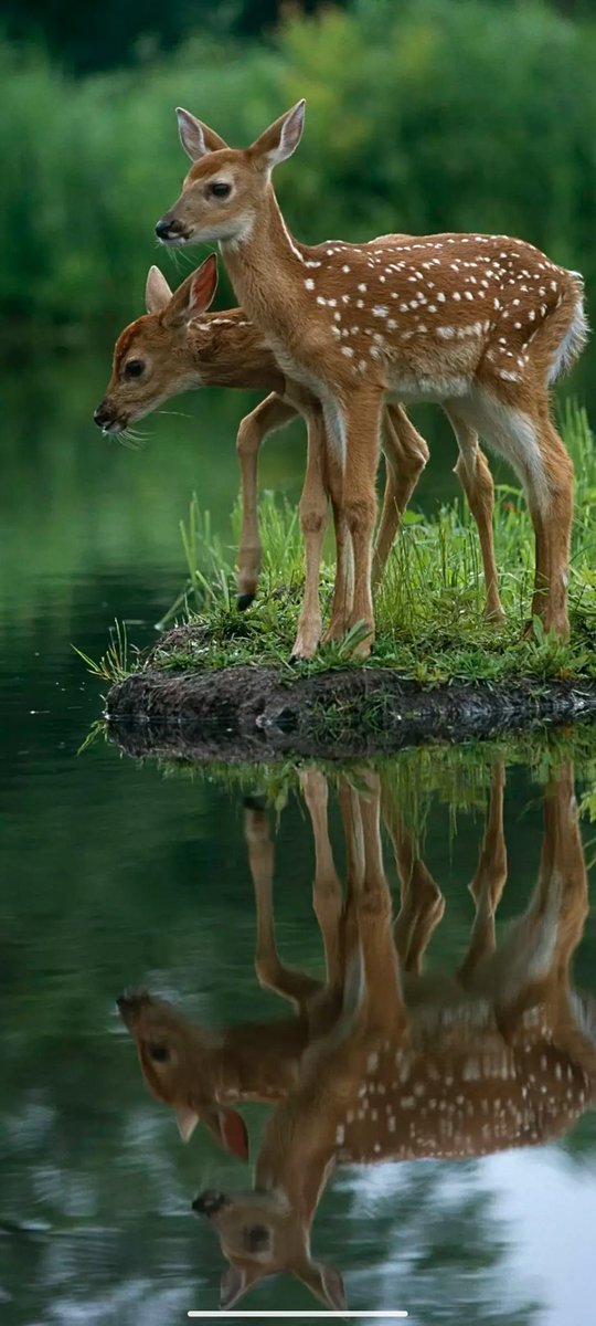 Have a nice day 😊