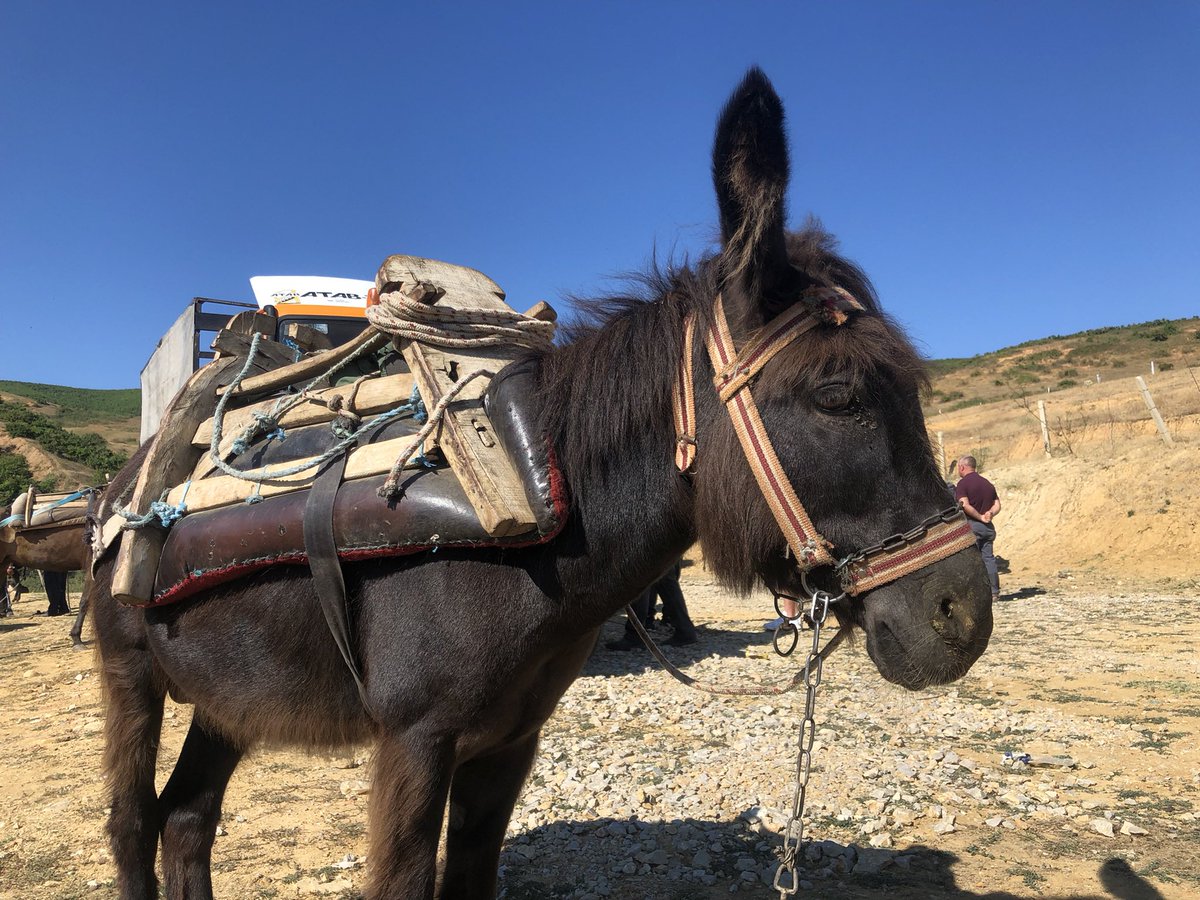 太郎丸 on Twitter