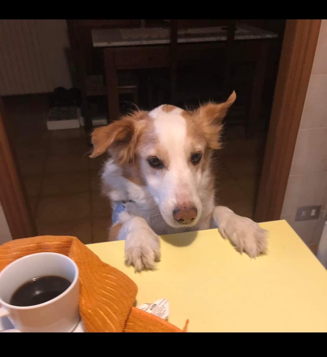 LiliMon98's tweet photo. 🧐 https://t.co/QactKA8pfb