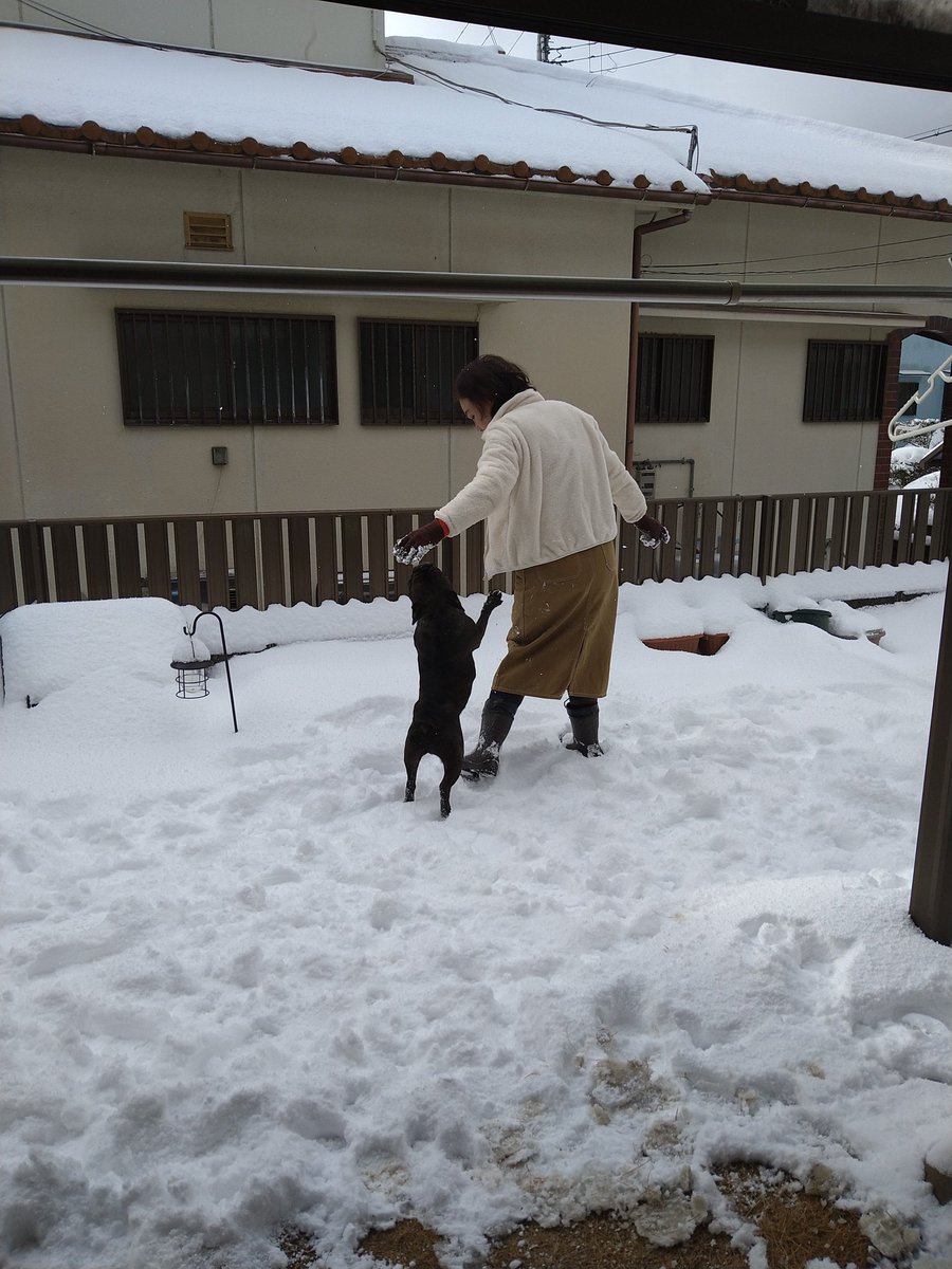 koisan_510's tweet photo. #雪の一日 https://t.co/hzYptBExts