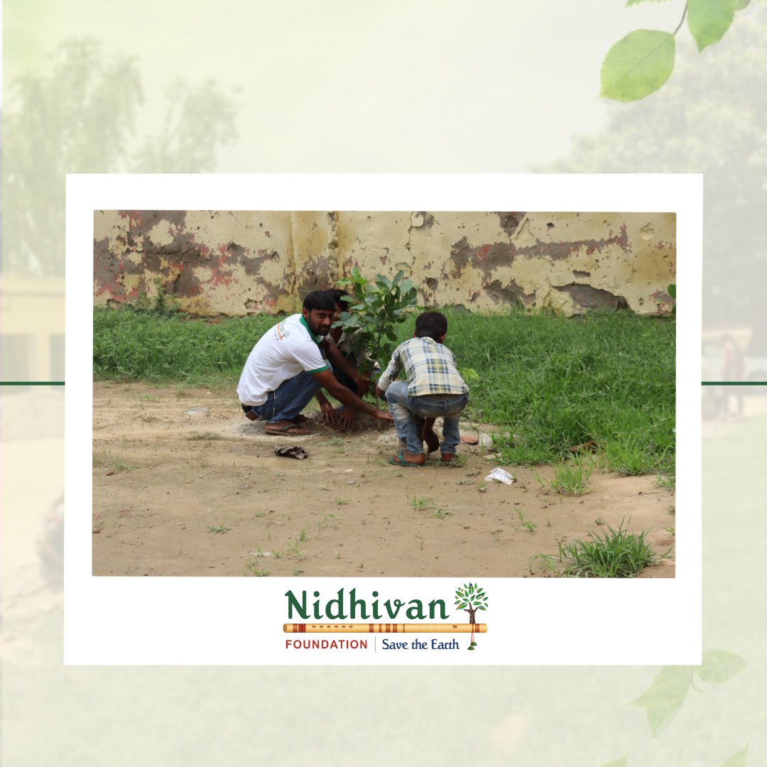 If you destroy the environment, the environment will destroy you !! . . . . . . #tree #trees #treeplanting #treeplantation #treeplanters #treelife #treeourlife #ngo #ngoindia #nidhivanfoundation #support #instagram #insta #treephotography #savetrees #saveearth #saveplanet