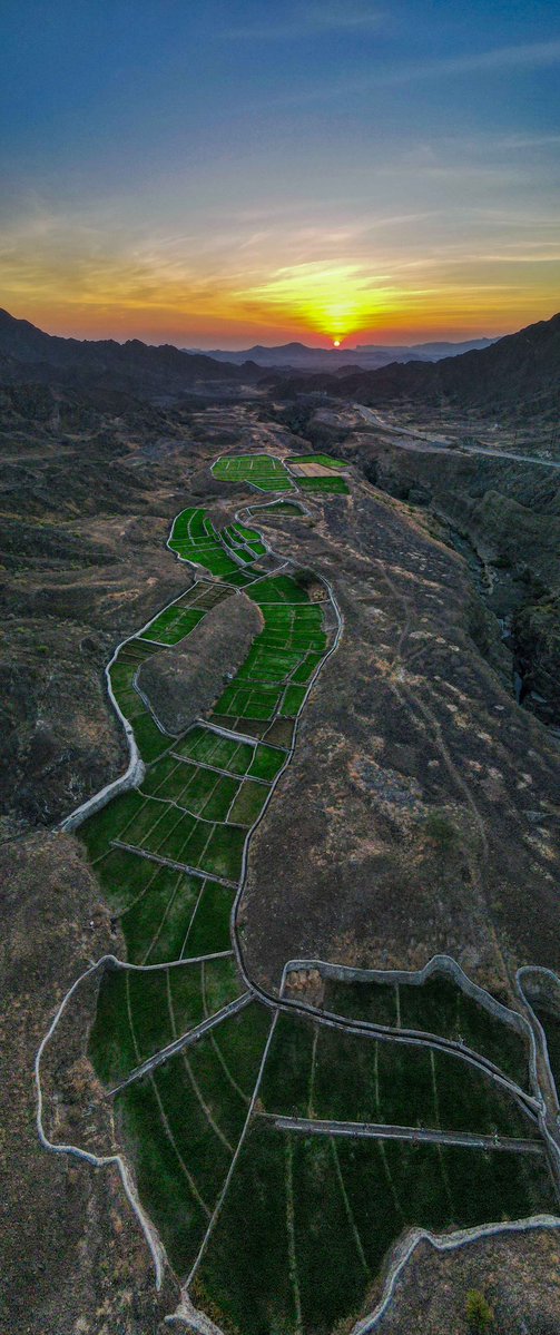 This_Is_0man's tweet photo. #غير_جو في محافظة #البريمي 

.
.
#هذي_عمان #اكتشف_عمان #سلطنة_عمان 
#Oman #Burami https://t.co/bu5eRm4IAU