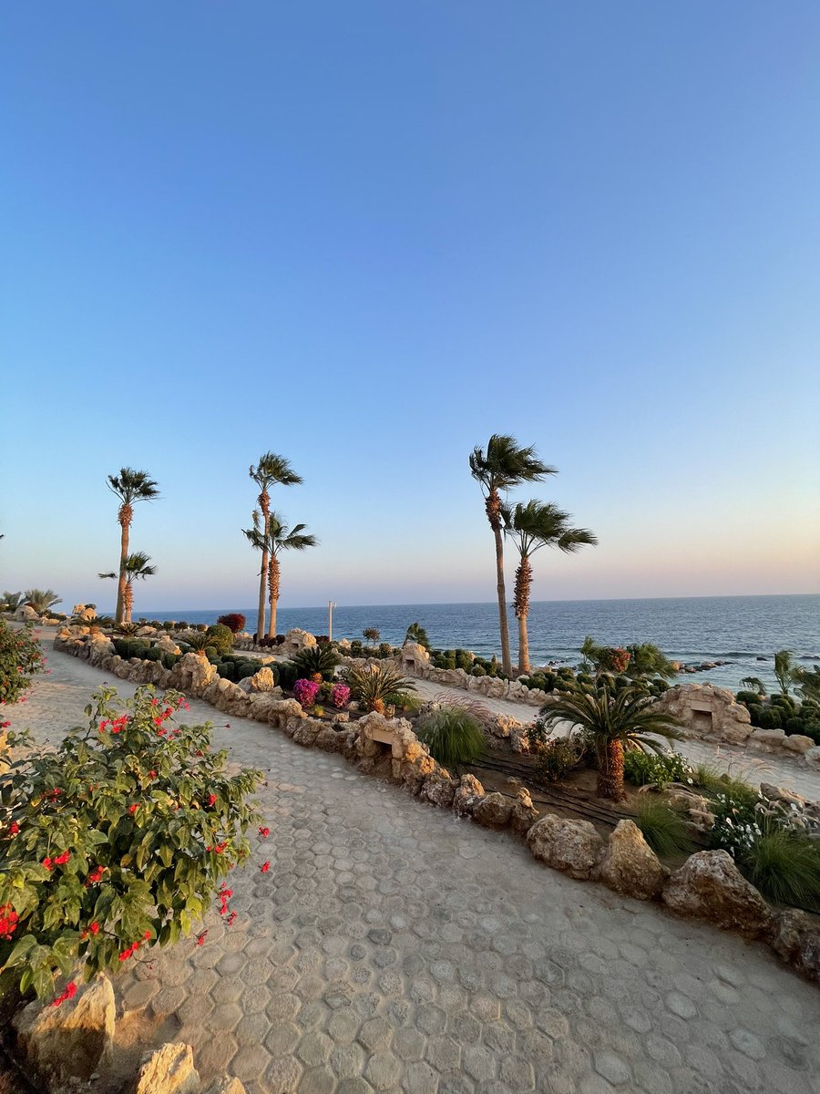 _thisisamina's tweet photo. Good morning from Egypt! 🇪🇬 https://t.co/PHbmy1Bvy0