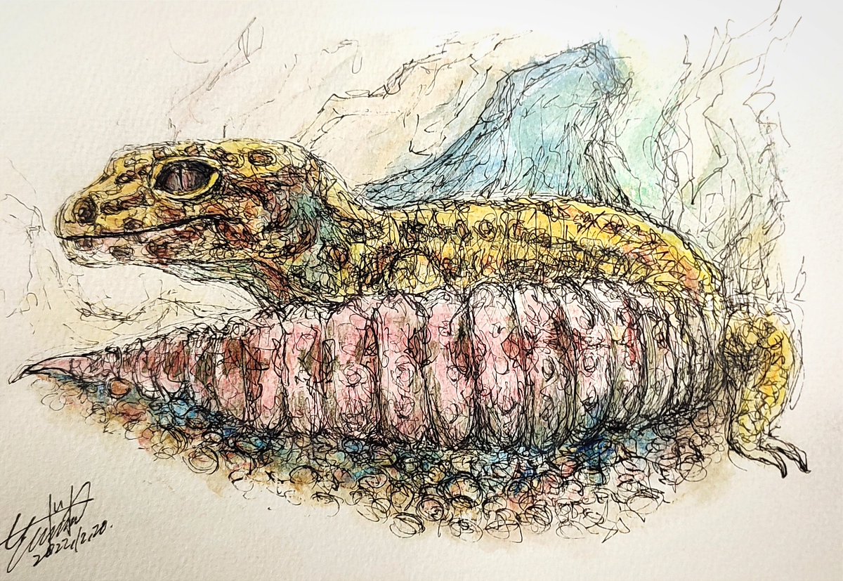 ganpakuofficial's tweet photo. しっぽ主張強めレオパ
#爬虫類 #動物 #ペット #animal #絵画 #アート #絵 #nature #art #artist #爬虫類ショップ #爬虫類イベント #reptiles #トカゲ #レオパ #leptiles #lizard #leopardgecko #drawing #コーヒーステッカー屋 #フトアゴ #iguana #ウサギ #うさぎ #猫 #ネコ #ねこ #犬 #いぬ #イヌ https://t.co/k25vlH2kVD