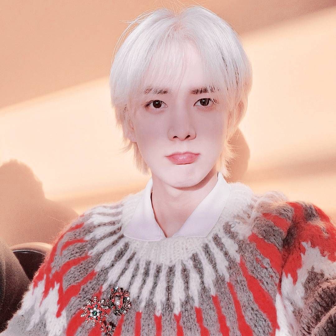 ccomelette tweet media