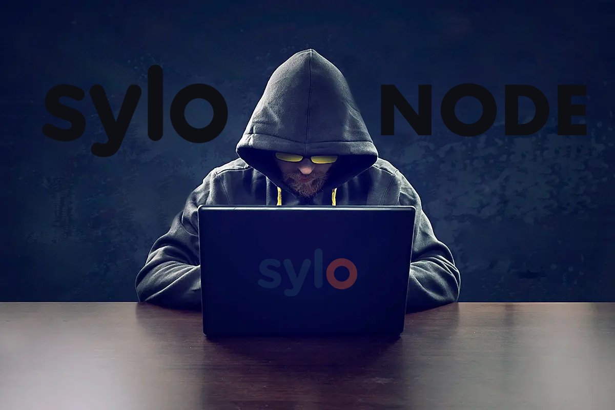 Brazeri_89's tweet image. The recent move to the underground and preview of how the root network testnet interacts with @seekers_xyz by @aaronmcdnz has increased my excitement about the potential incentives for #Staking
nodes using $SYLO and #nodeNFT hence aiming towards #Decentralization in communication