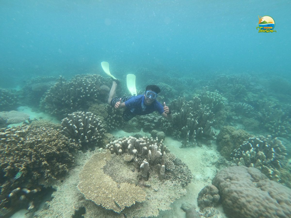 Spot snorkeling Pulau Gili, Bawean!