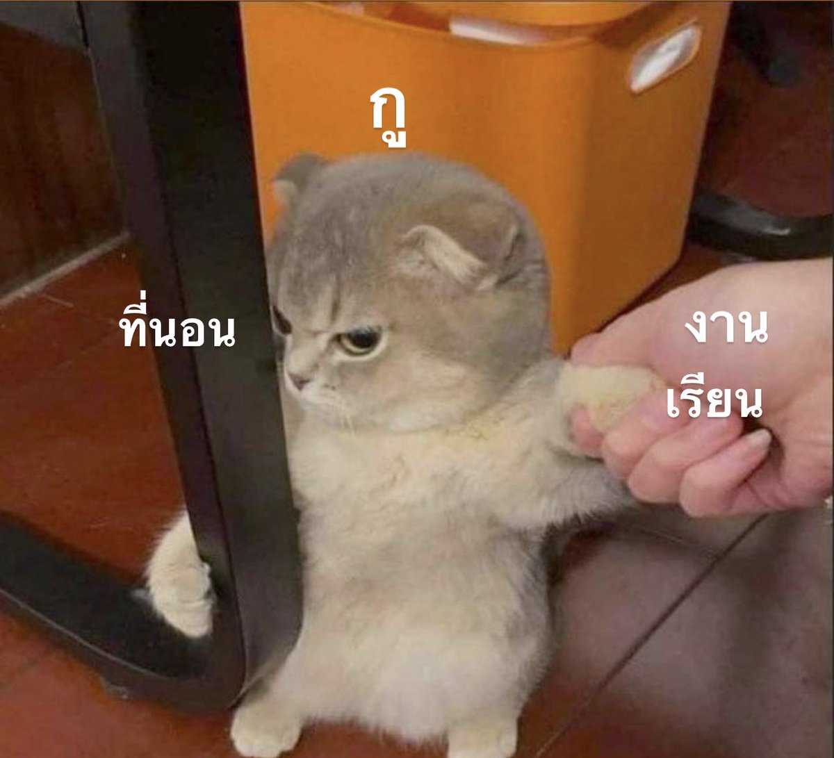 สภาพกูในทุกๆวัน: