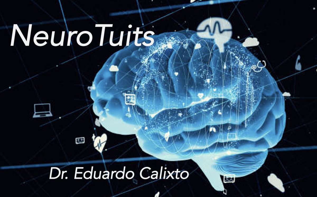 ecalixto's tweet photo. Noche del martes 24 de enero, 2023.
Noche de #NeuroTuits
Gracias a todos Uds., por su tiempo, interacciones y lectura.
¡BIENVENIDOS! https://t.co/ScscxWhEnb