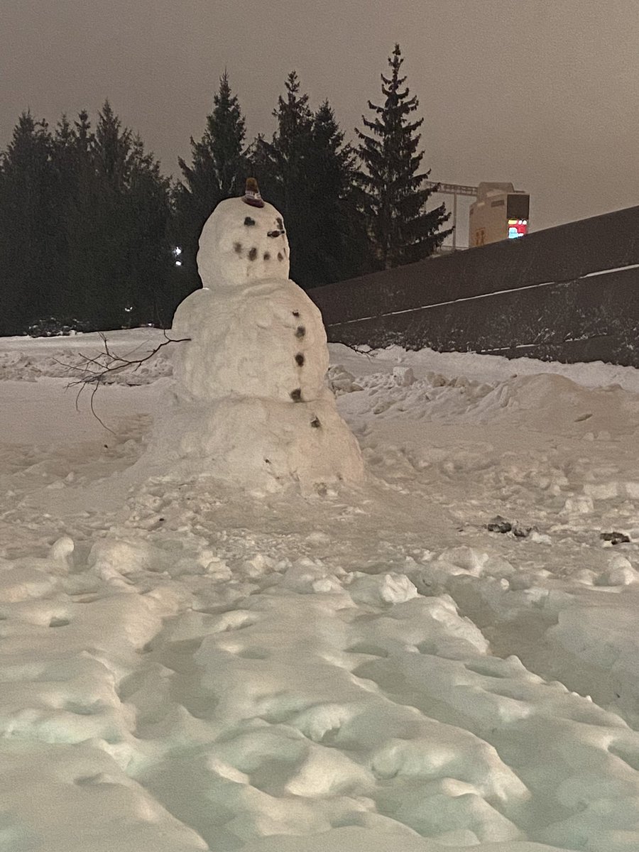 HillLaQuisa's tweet photo. @sghmd @umn_dom I was in awe of this snowman lol… braved the cold to go snap this pic. https://t.co/It9rbGGzgZ