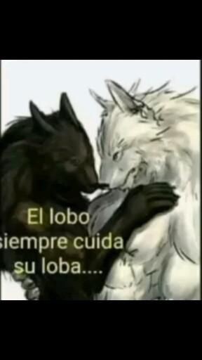 channiemyworld's tweet image. Dedicale esta frase a tu 4 @