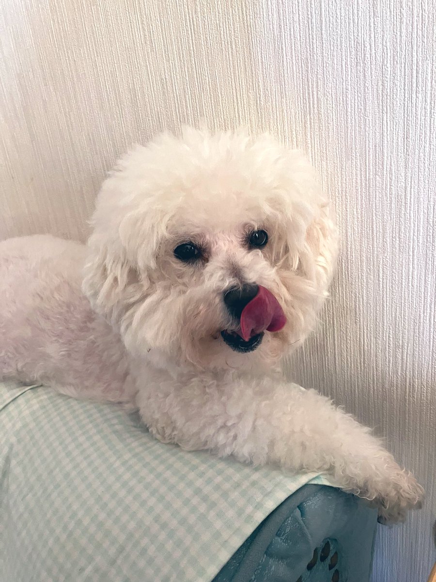 siro_MILKY's tweet photo. 起きた💭 https://t.co/9mbzw0ofv9