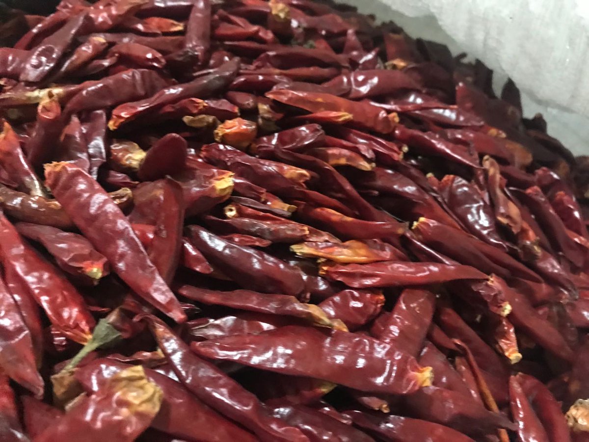 chiles_red's tweet photo. Sweet Paprika Pods for Mexico,Ready for Shipment #redchilesmexico
#cropsiafoods #redchiles #sweetpeprika https://t.co/QrOAe5mN0i